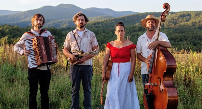 LUA Project band standing in a mountain meadow with accordion and upright bass